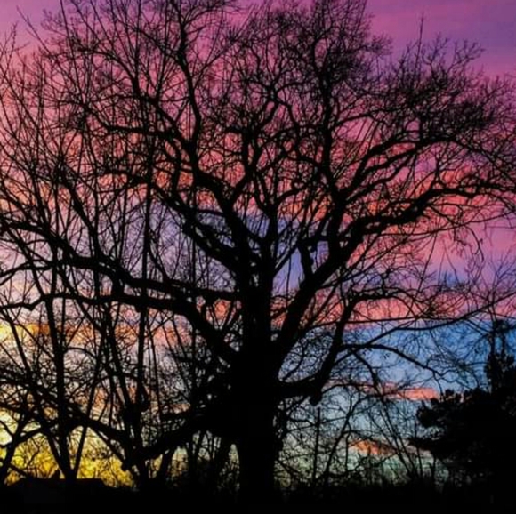 Meet your Posher, Caroline - Picture 11 of 12